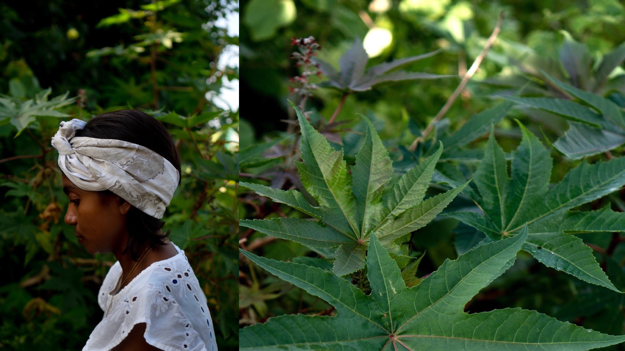 Botanical Alchemy through Eco Dyeing